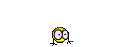 Nowhy Nowhy